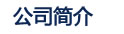 公司簡介